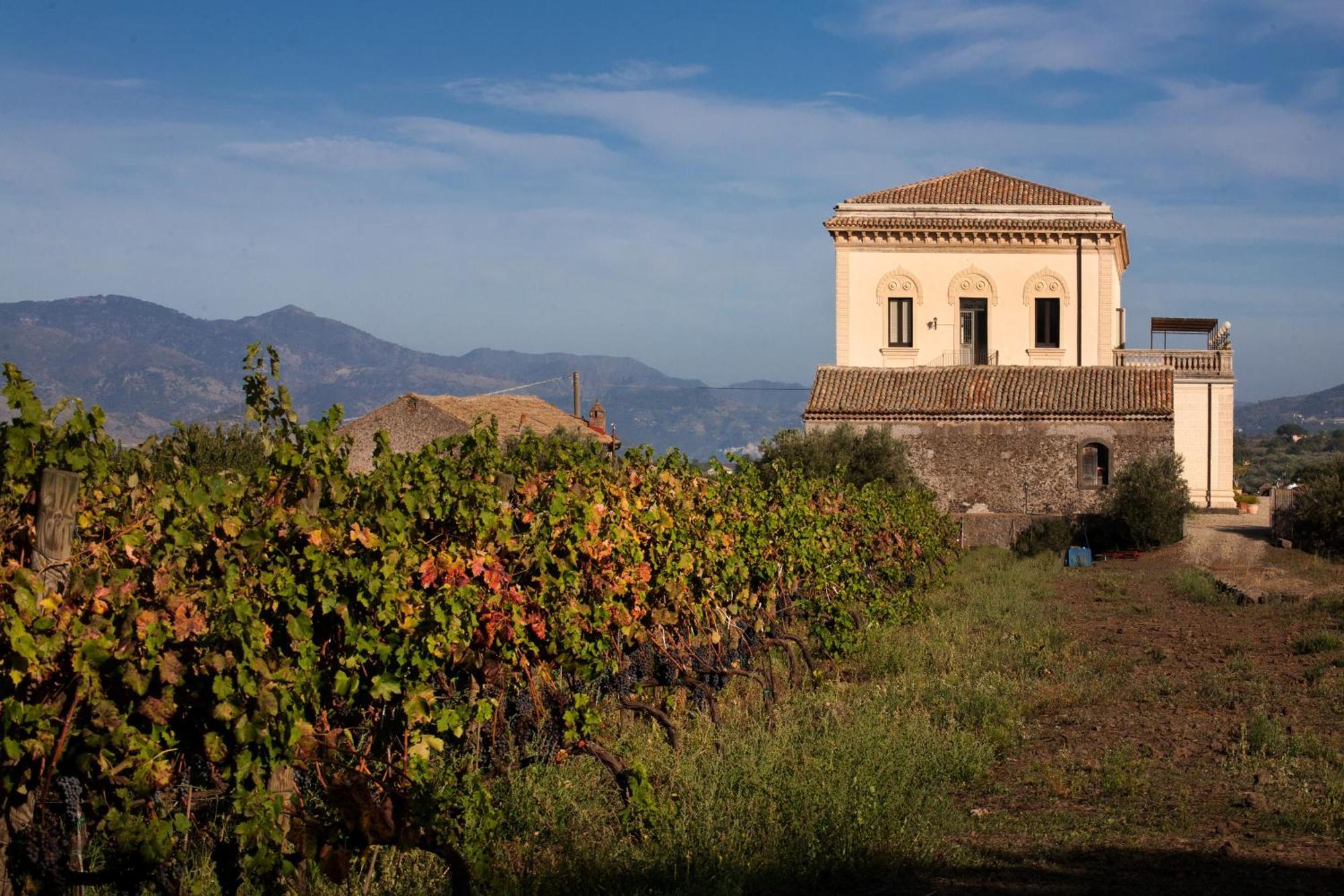 Feudo Vagliasindi -Wine Experience- Guest House Рандацо Екстериор снимка