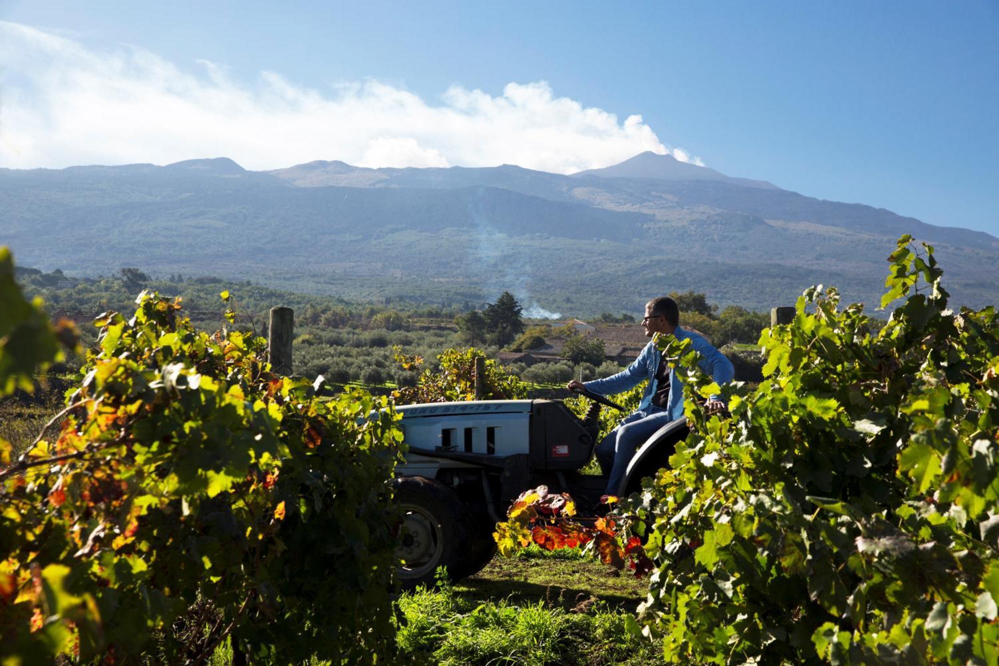 Feudo Vagliasindi -Wine Experience- Guest House Рандацо Екстериор снимка