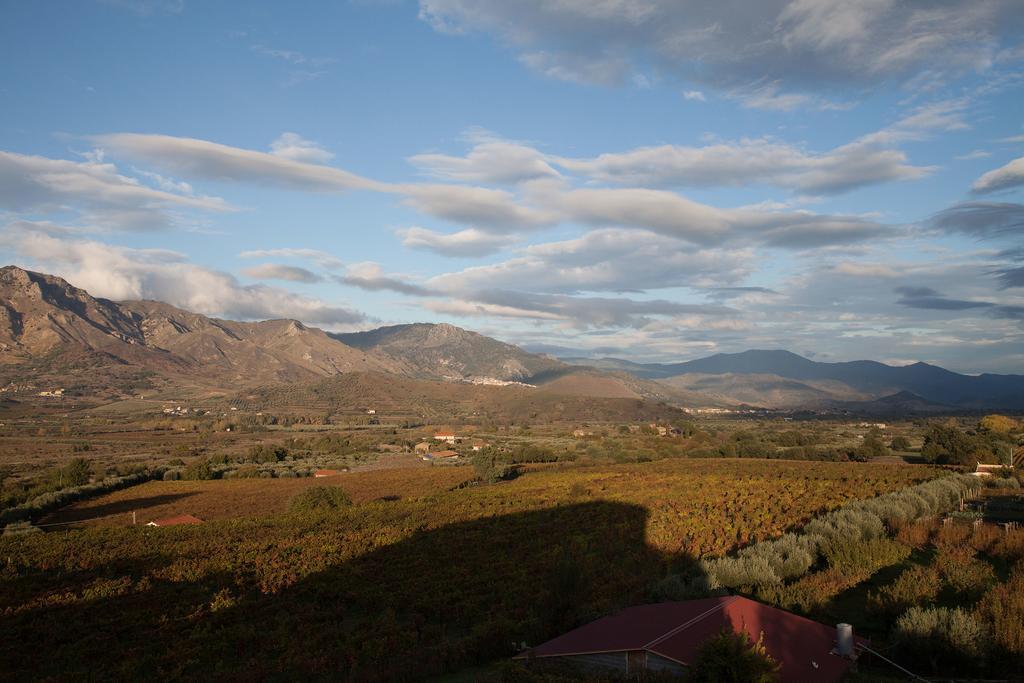Feudo Vagliasindi -Wine Experience- Guest House Рандацо Екстериор снимка