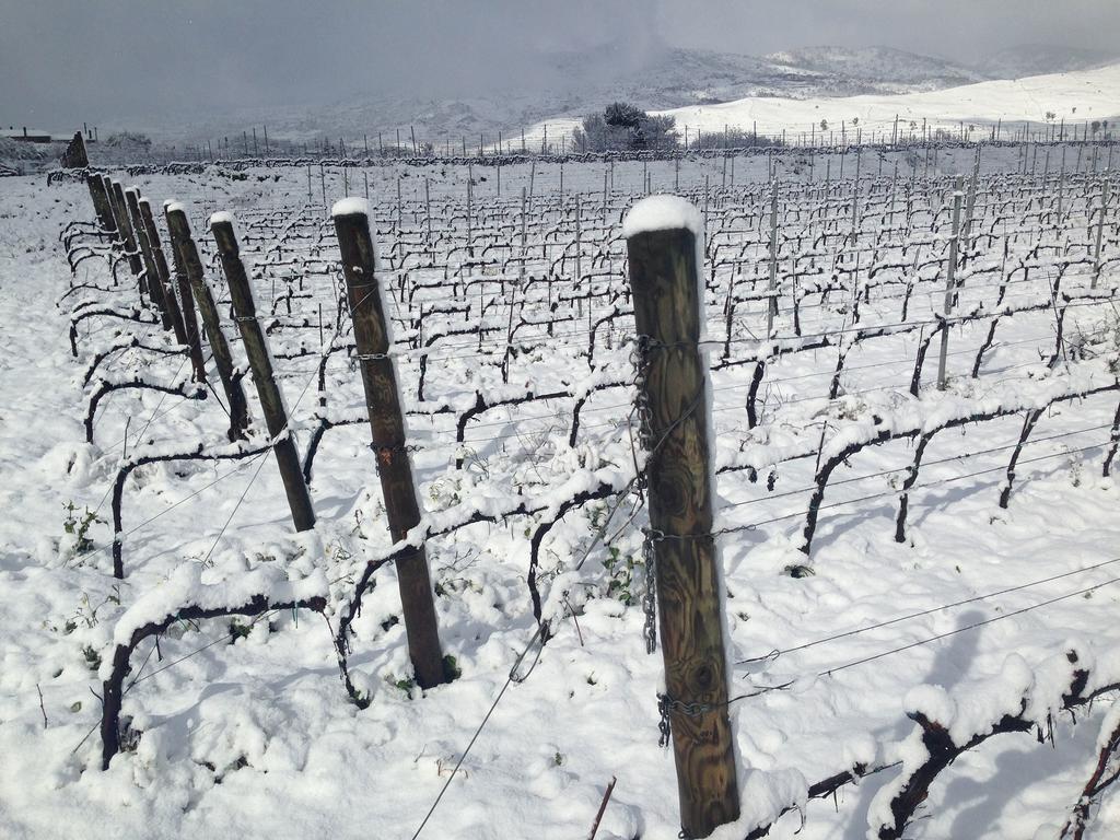 Feudo Vagliasindi -Wine Experience- Guest House Рандацо Екстериор снимка