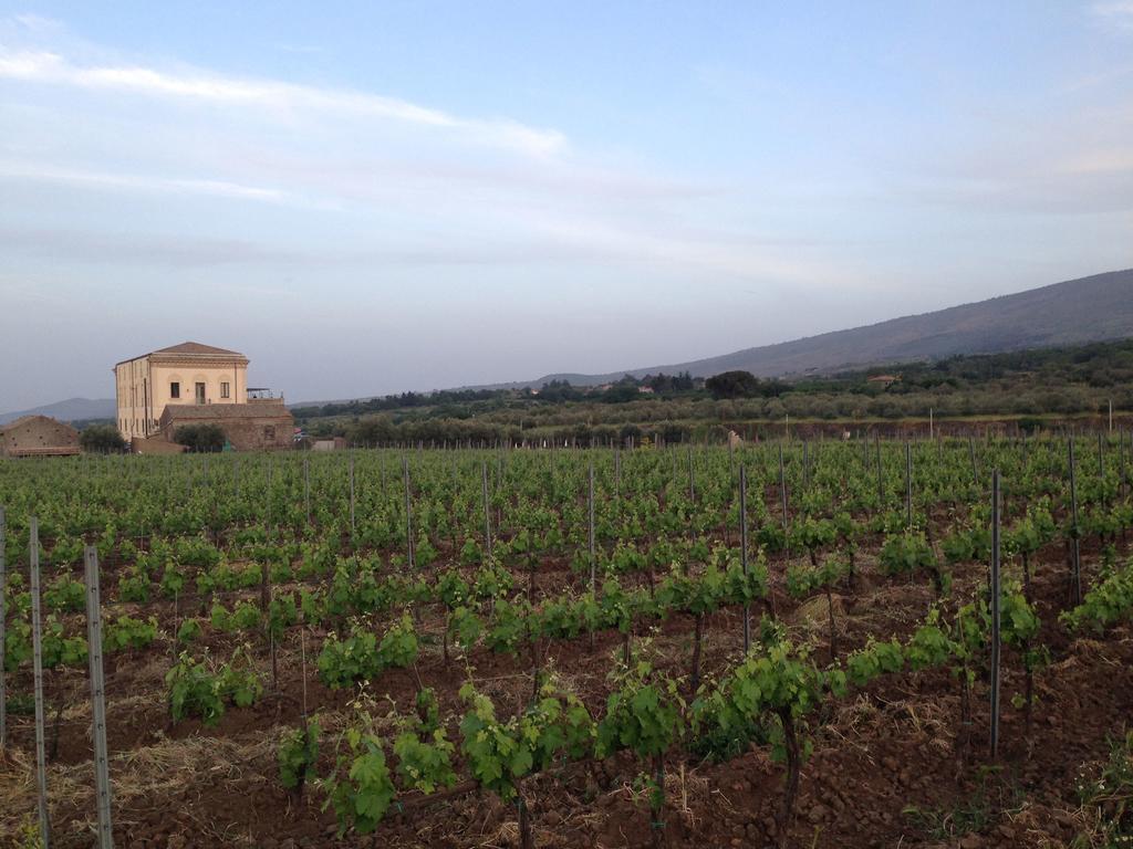 Feudo Vagliasindi -Wine Experience- Guest House Рандацо Екстериор снимка